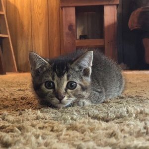 Meet your Posher, Eleanor
